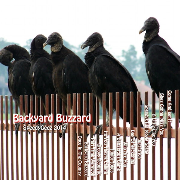 Backyard Buzzard